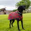 Ancol Heritage Red Tartan Dog Coat Dog Coat