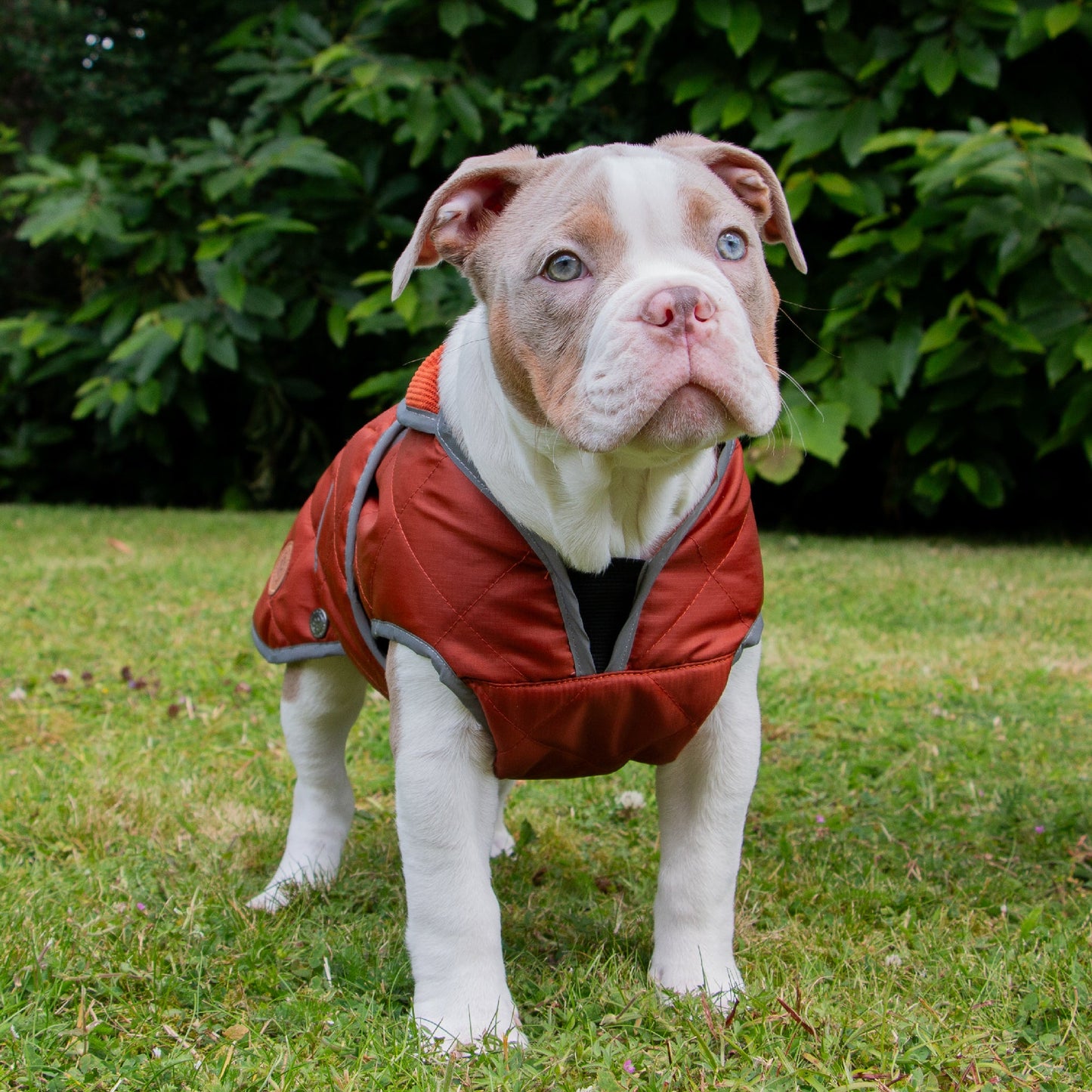 Heritage Terracotta Quilted Coat