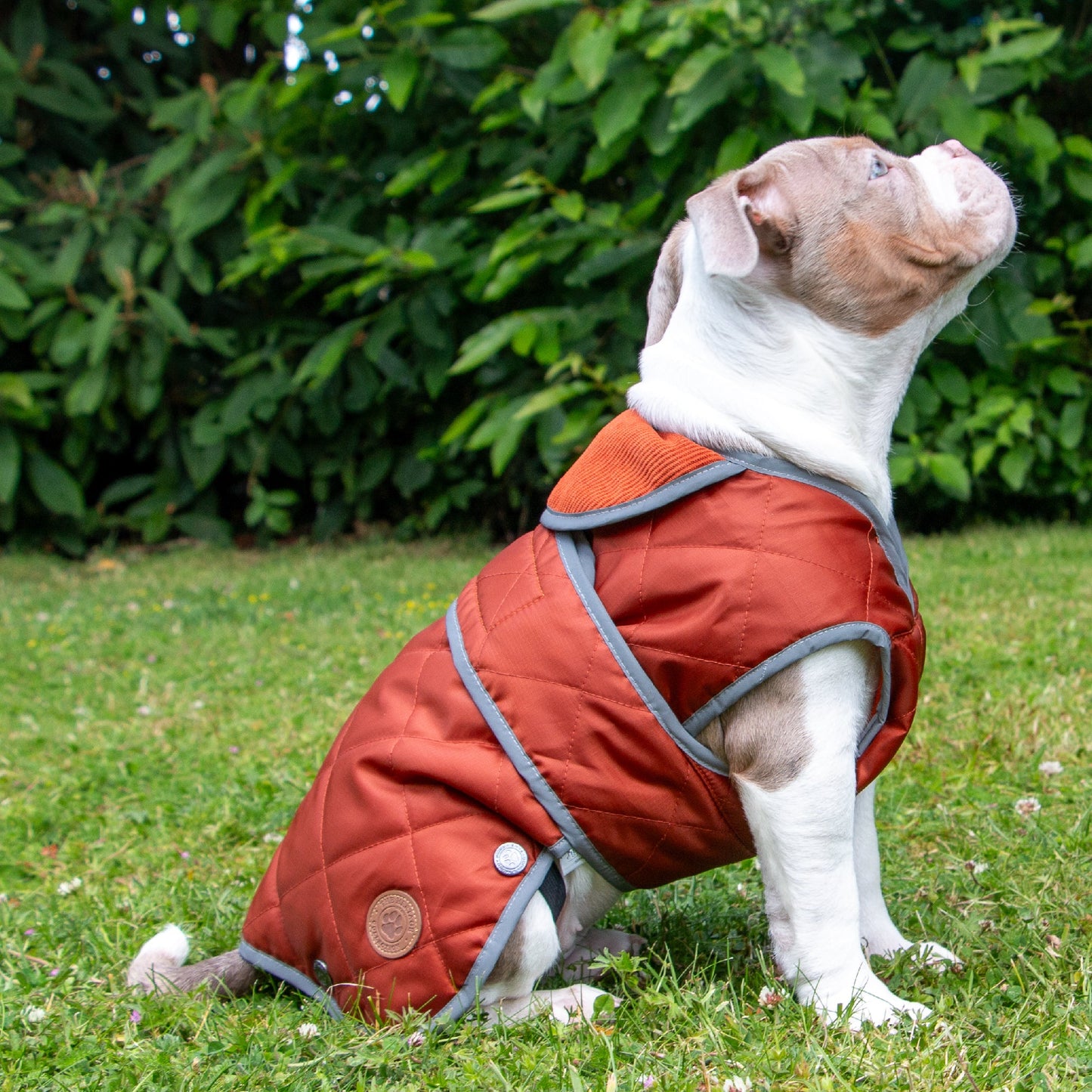 Heritage Terracotta Quilted Coat