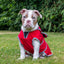 Ancol Stormguard Dog Coat Dog Coat Soft Shell Bordeaux