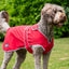 Ancol Stormguard Dog Coat Dog Coat Soft Shell Bordeaux