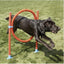 Rosewood Agility Hoop Jump - Ormskirk Pets
