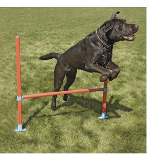 Rosewood Agility Hurdle - Ormskirk Pets