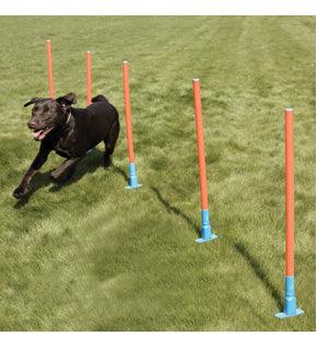 Rosewood Agility Slalom - Ormskirk Pets