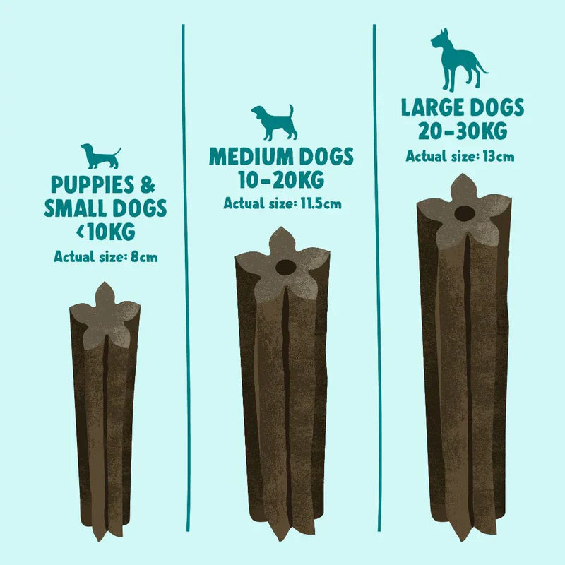 Denzels Daily Dentals Medium Dog Chicken & Peppermint 100G
