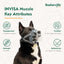 Baskerville Invisa Basket Muzzle