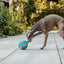 Guru Bobble Ball - Large