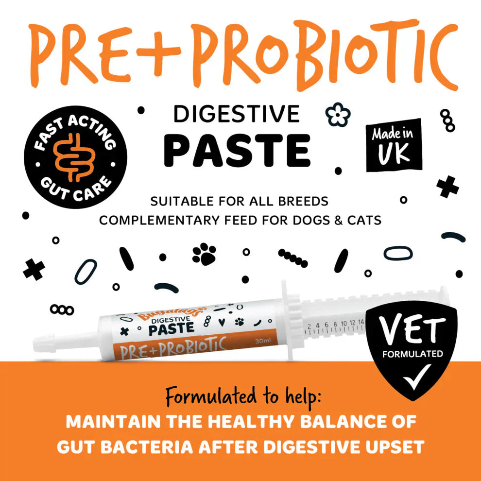Bugalugs Digestive Pre-Probiotic Paste
