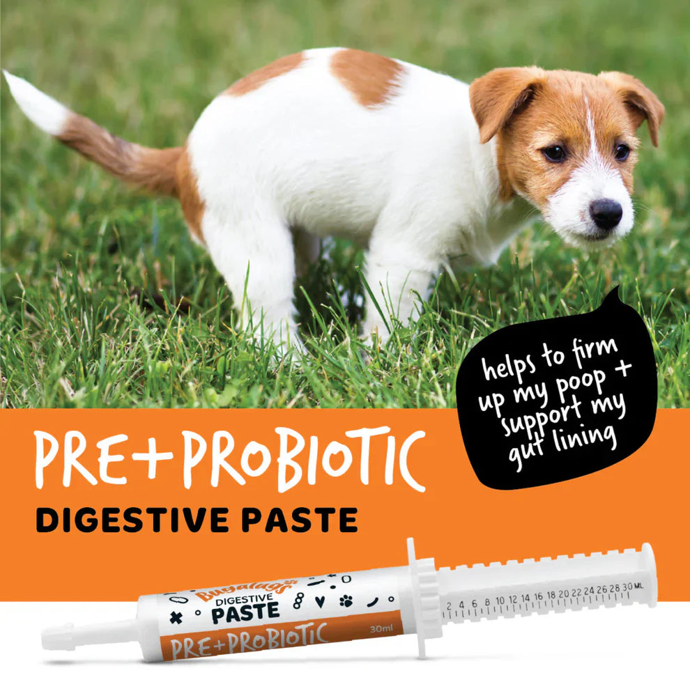 Bugalugs Digestive Pre-Probiotic Paste