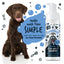 Bugalugs Blueberry Spa No Rinse Facial Wash Shampoo For Dogs 200ml