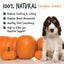 Bugalugs Natural Pumpkin Supplement Powder 200g