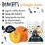 Bugalugs Natural Pumpkin Supplement Powder 200g
