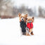 Collar Dog Jacket Airyvest Reversible