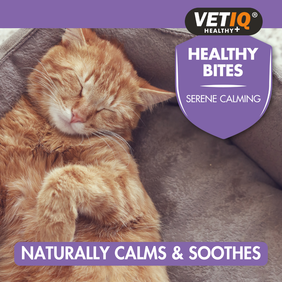 Vetiq Healthy Bites Serene Calming Cats & Kittens 65G