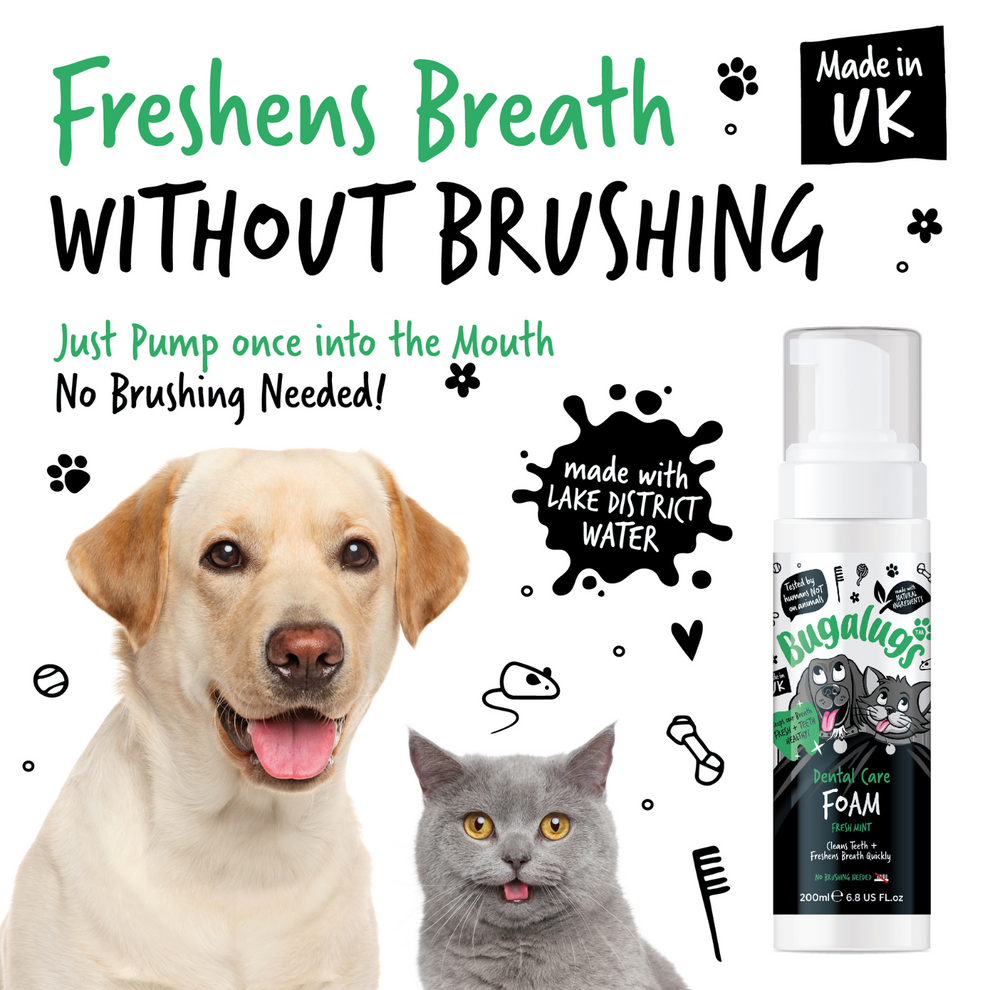 BUGALUGS DENTAL CARE FOAM FRESH MINT 200ML