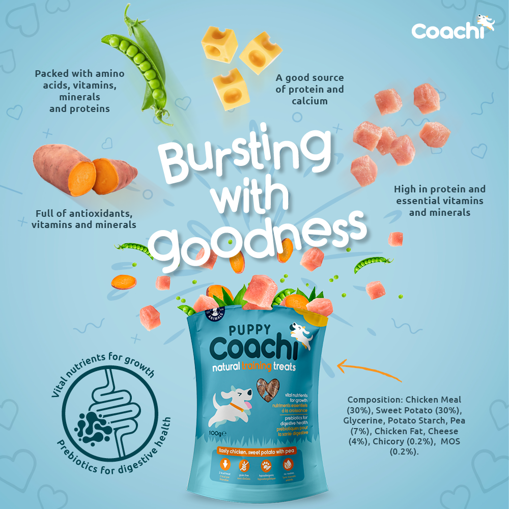 Coachi Puppy Natural Training Treats Chicken 100G