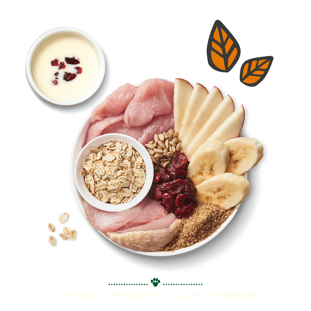 Lily's Kitchen Breakfast Crunch 800g - Ormskirk Pets