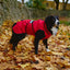 Danish Design 3-In-1 Dog Coat Red