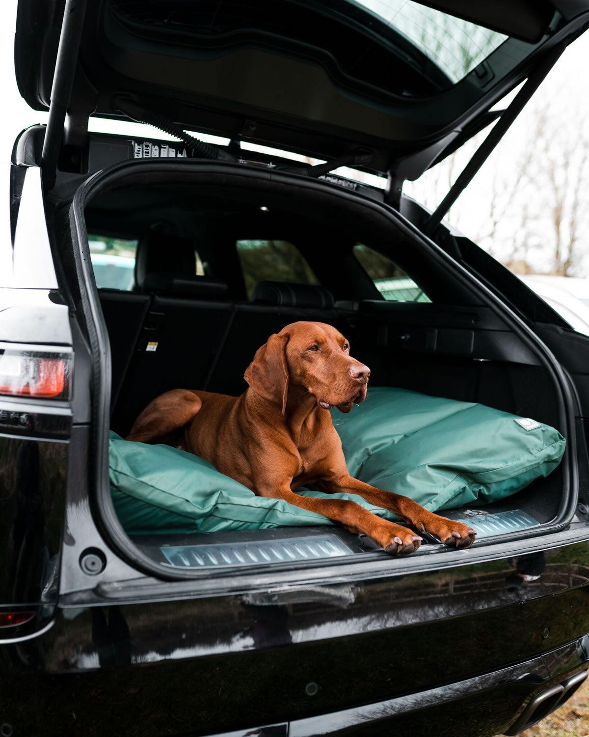 Danish Design County Duvet Deep Filled Large Green - Ormskirk Pets