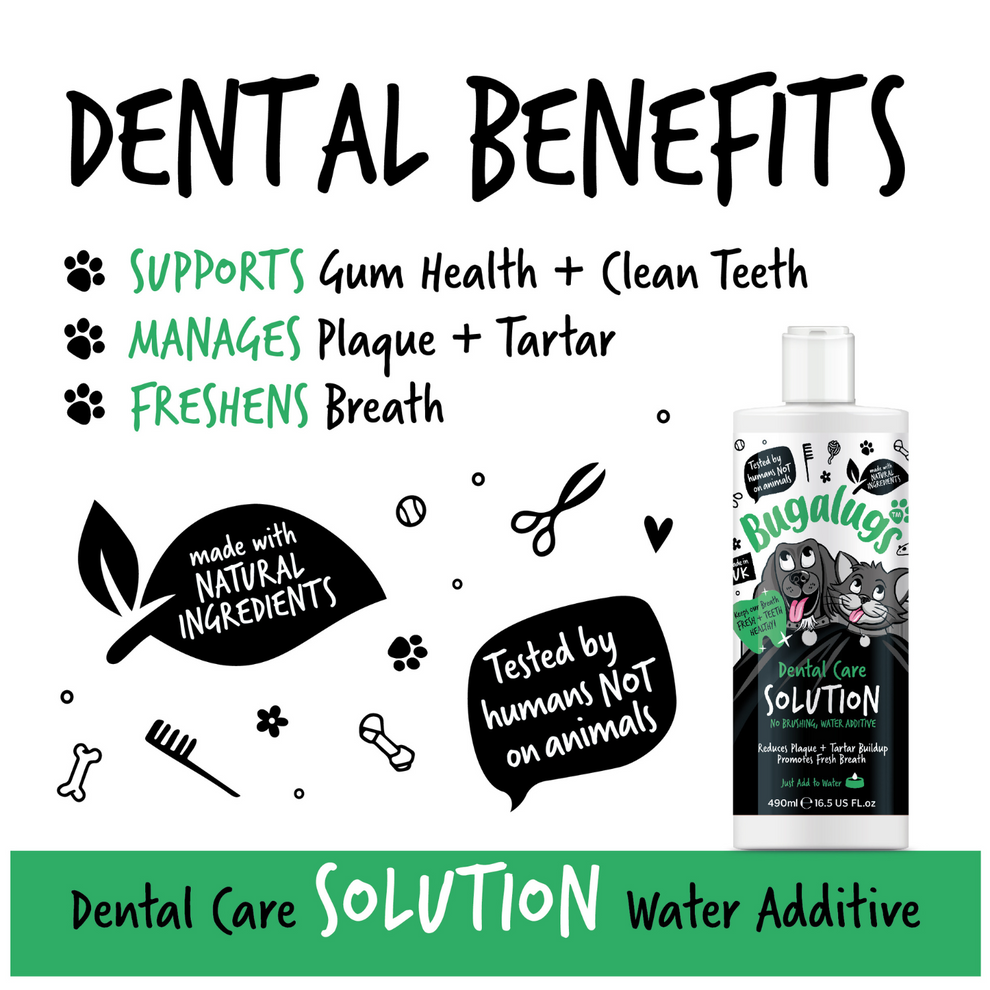 BUGALUGS DENTAL CARE SOLUTION 250ML