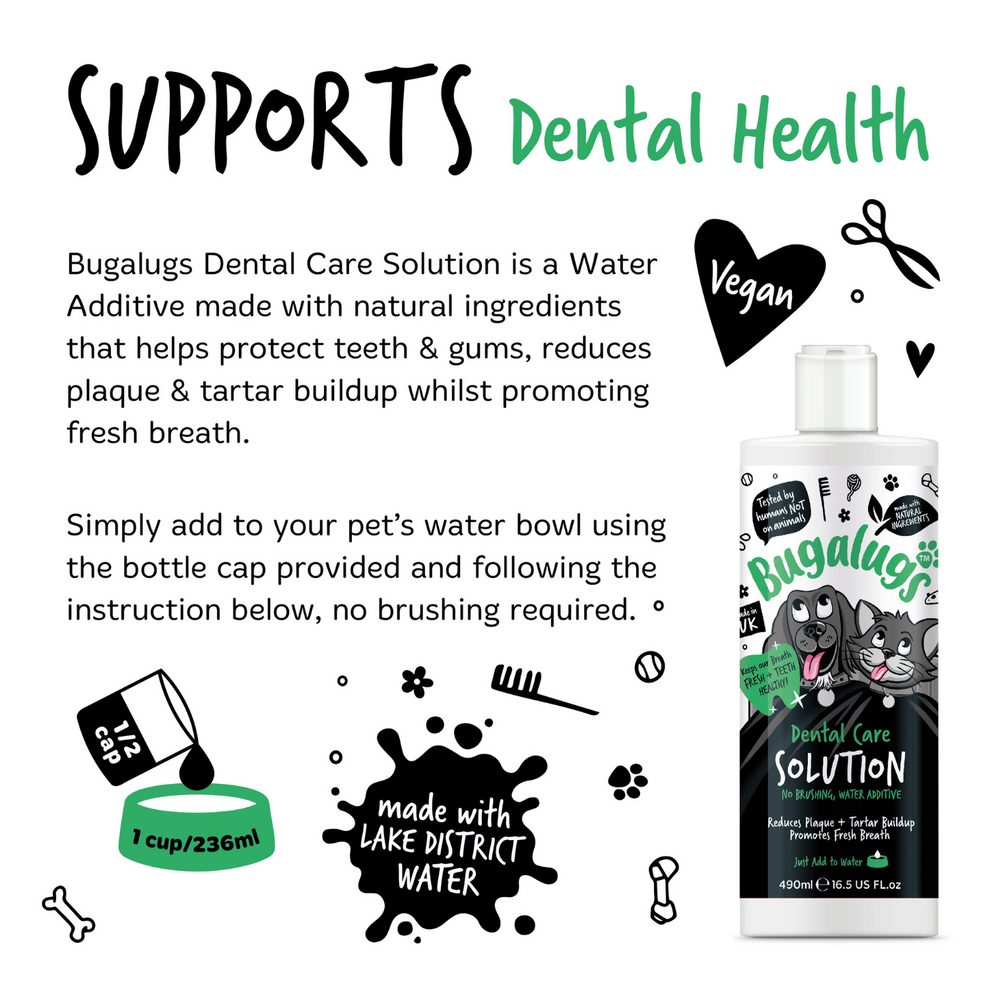BUGALUGS DENTAL CARE SOLUTION 250ML