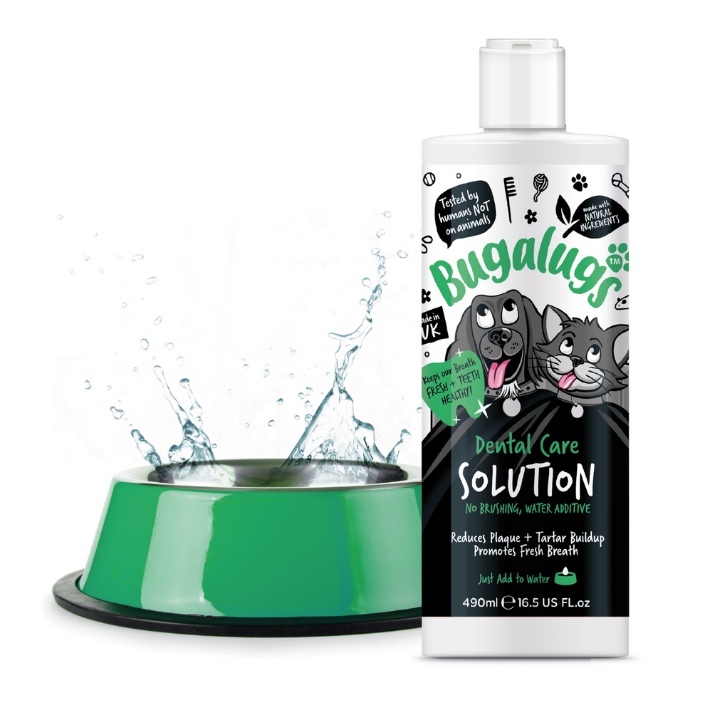 BUGALUGS DENTAL CARE SOLUTION 250ML