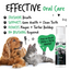 BUGALUGS DENTAL CARE FOAM FRESH MINT 200ML