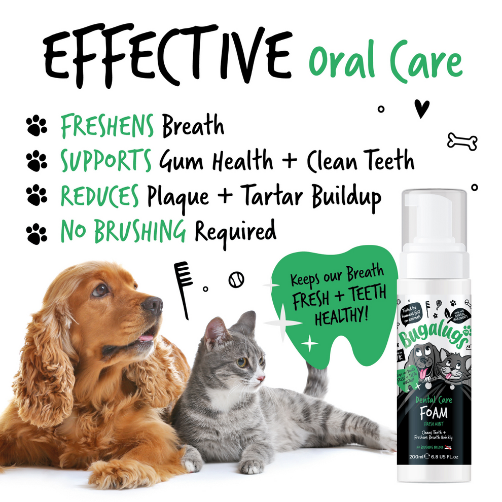 BUGALUGS DENTAL CARE FOAM FRESH MINT 200ML