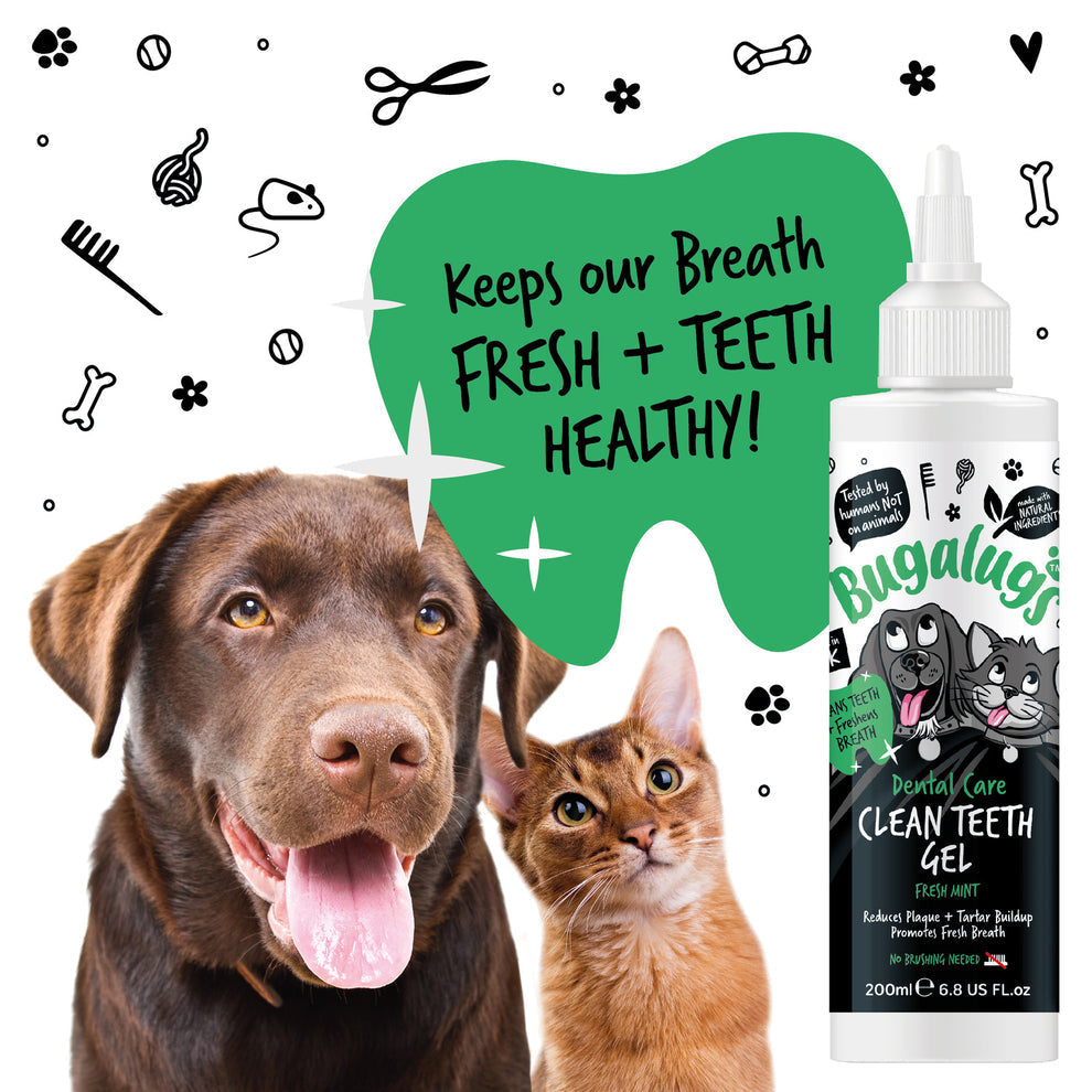 BUGALUGS DENTAL CARE CLEAN TEETH GEL FRESH MINT 200ML