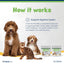 Wellichews Digestion Soft Chews