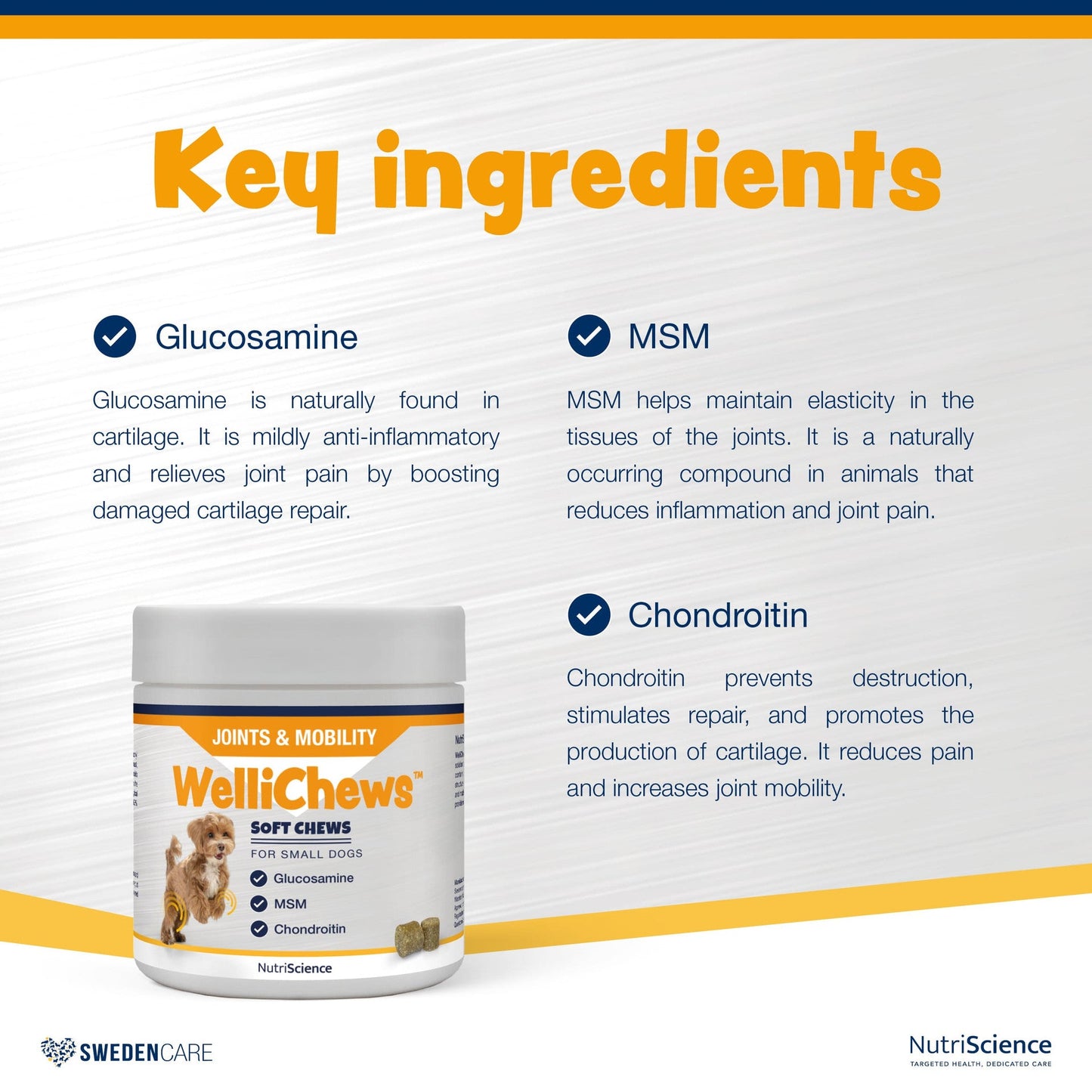 Wellichews Joints & Mobility Soft Chews