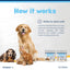 Wellichews Senior Soft Chews