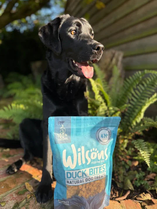 Wilsons Duck Bites 200g