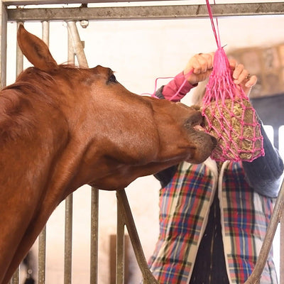 Equilibrium Munch Net Pink - Ormskirk Pets