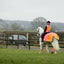 EQUISAFETY HI-VIS WATERPROOF QUARTER SHEET PINK/ORANGE - Ormskirk Pets