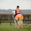 EQUISAFETY HI-VIS WATERPROOF QUARTER SHEET PINK/ORANGE - Ormskirk Pets