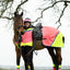EQUISAFETY HI-VIS WATERPROOF QUARTER SHEET PINK/YELLOW - Ormskirk Pets