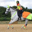 EQUISAFETY BREATHABLE MESH QUARTER SHEET YELLOW/ORANGE - Ormskirk Pets