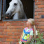 EQUISAFETY WAISTCOAT PINK/YELLOW - Ormskirk Pets