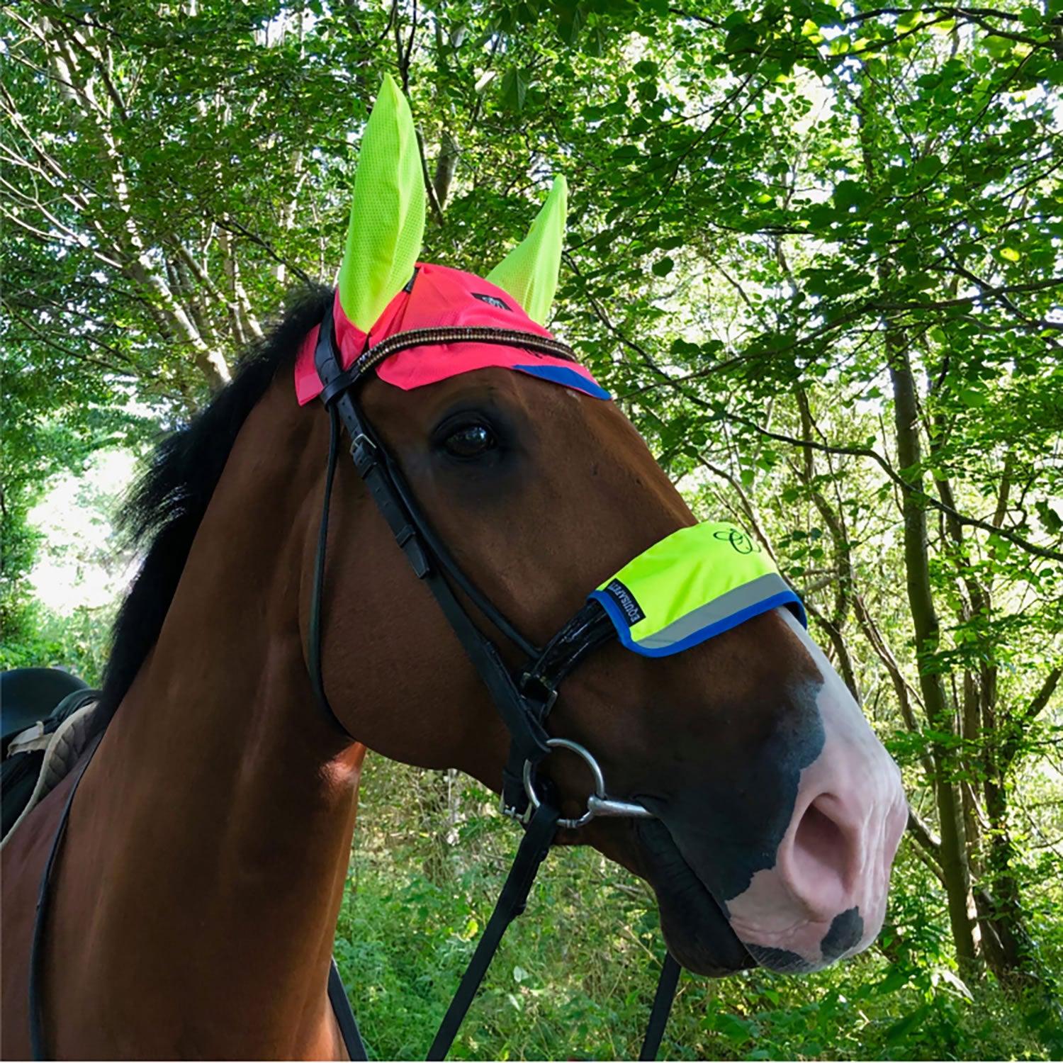 EQUISAFETY MULTI-COLOURED NOSEBAND - Ormskirk Pets