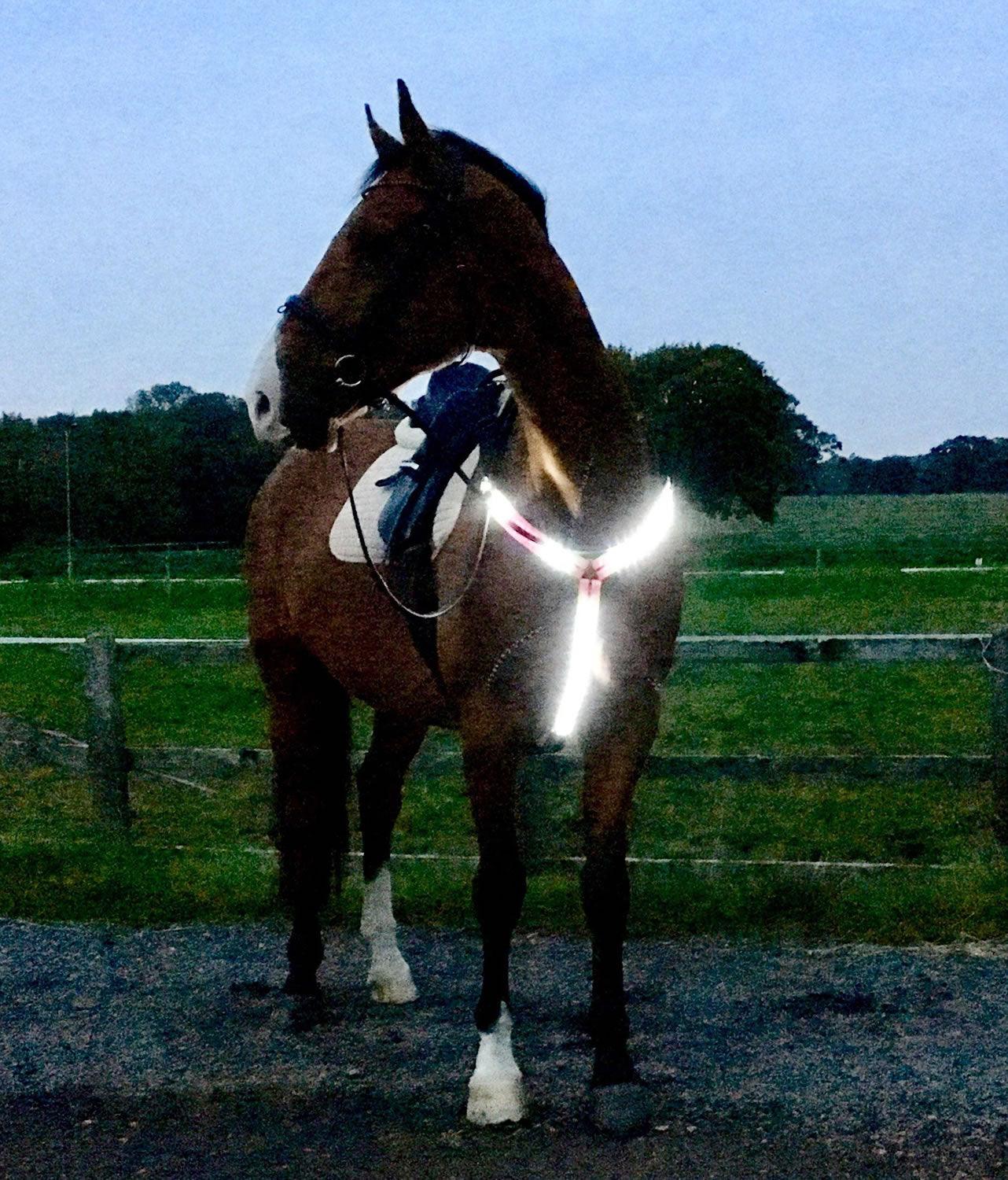 EQUISAFETY LED RECHARGEABLE BREASTPLATE PINK - Ormskirk Pets