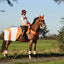 EQUISAFETY MERCURY EXERCISE RUG ORANGE - Ormskirk Pets