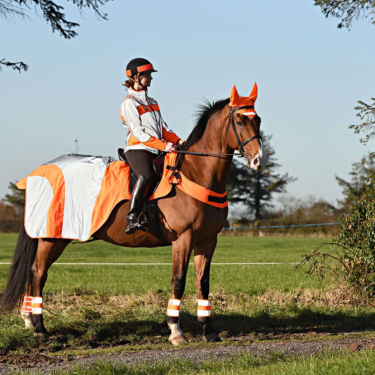 EQUISAFETY MERCURY EXERCISE RUG ORANGE - Ormskirk Pets