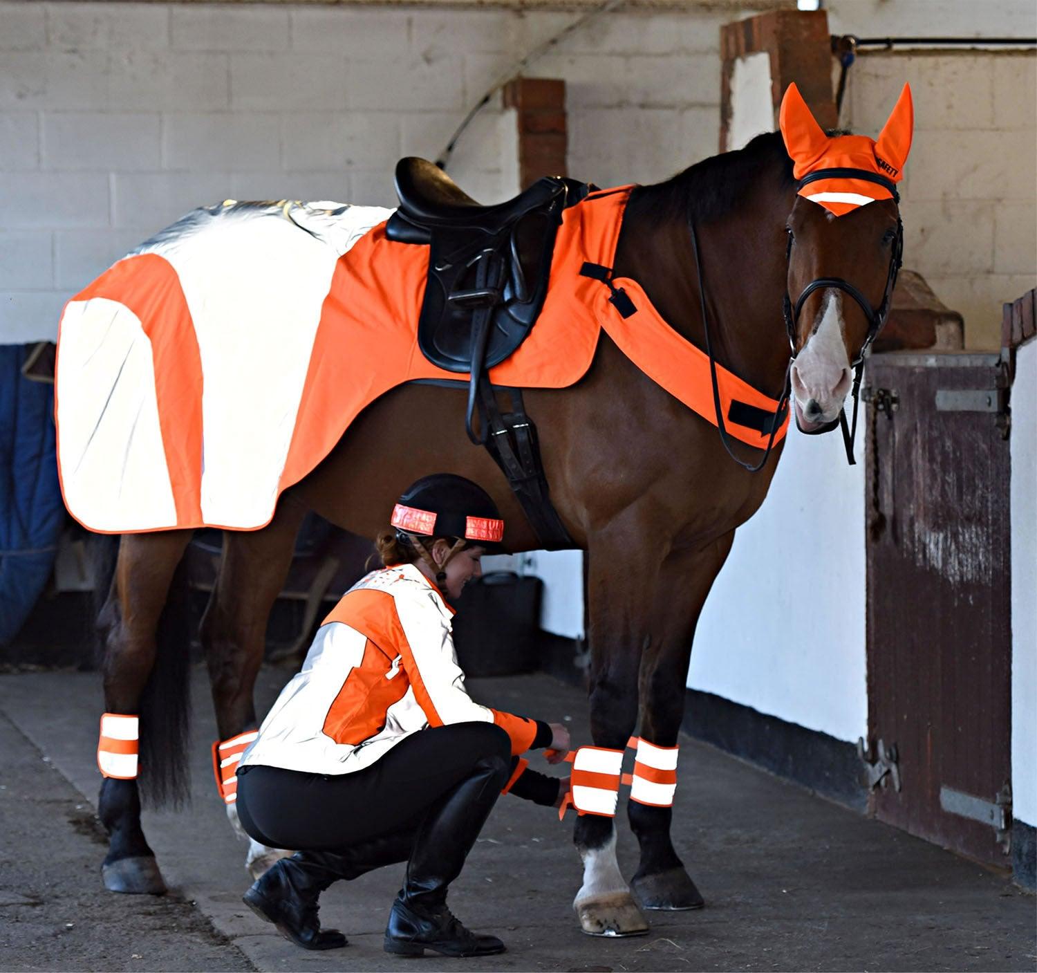 EQUISAFETY MERCURY EXERCISE RUG ORANGE - Ormskirk Pets