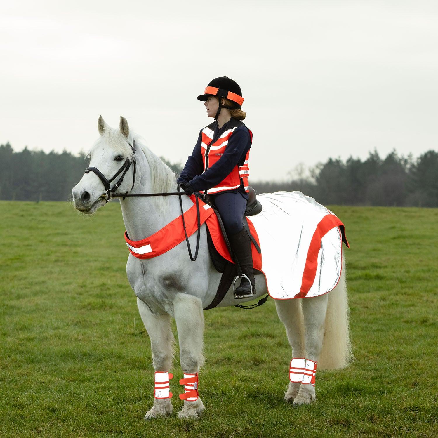 EQUISAFETY MERCURY EXERCISE RUG RED - Ormskirk Pets