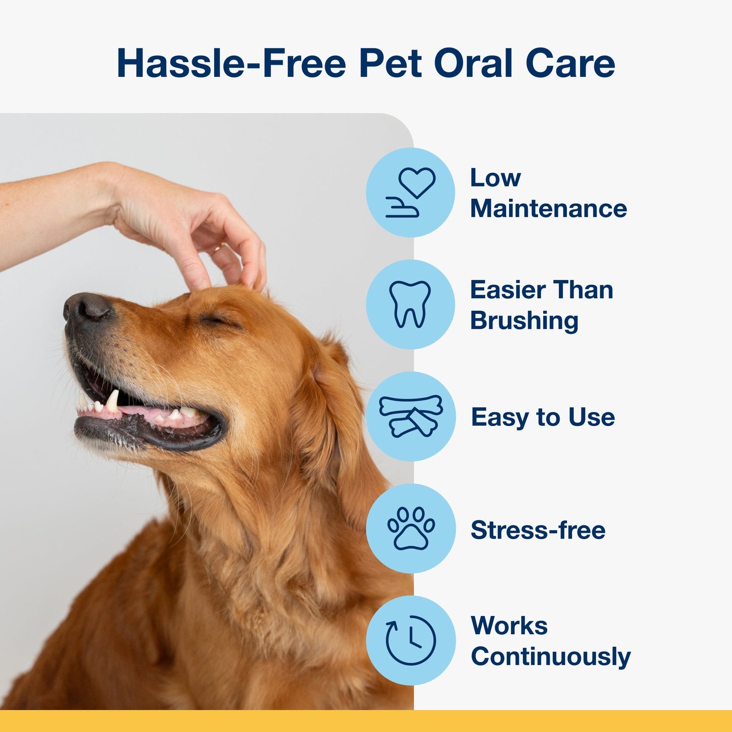 Proden Plaqueoff Dental Care Bones Bacon
