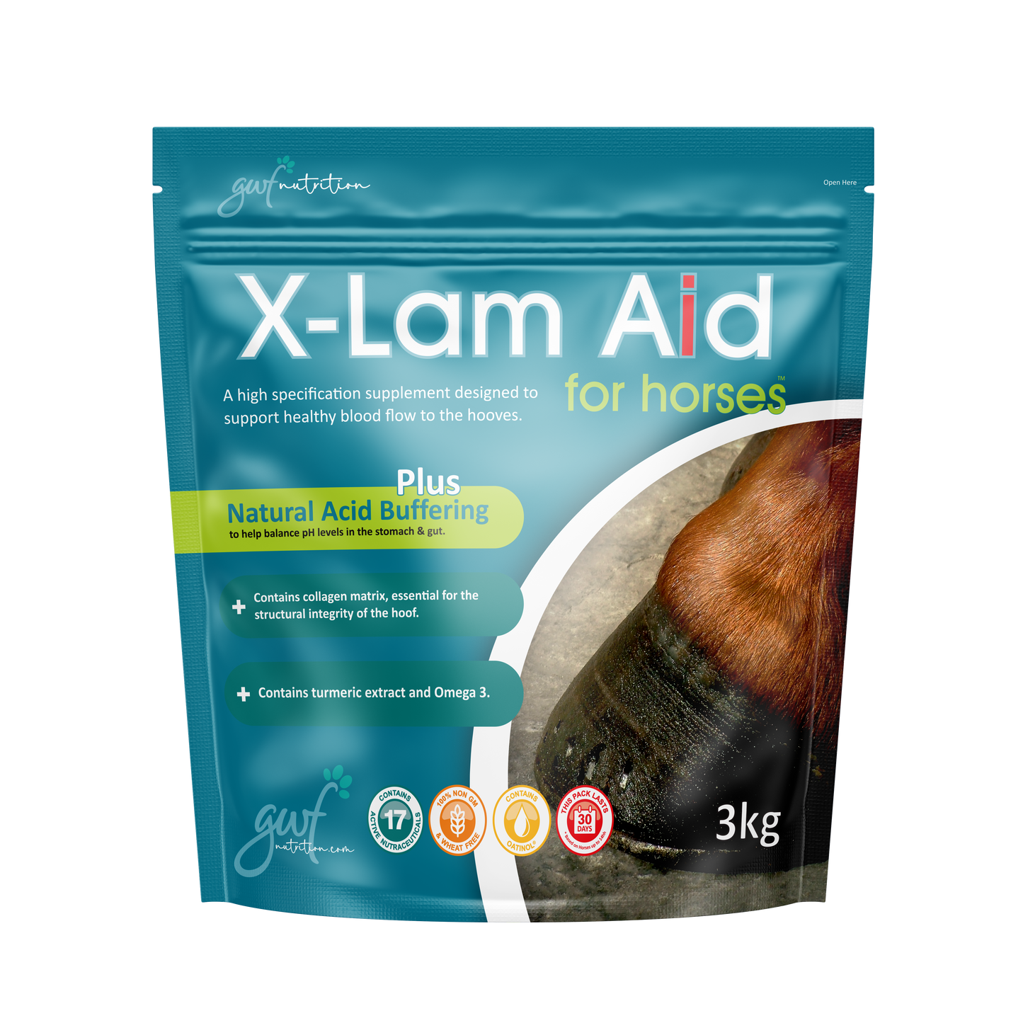 Gwf X-Lam Aid Pellets For Horses 3Kg