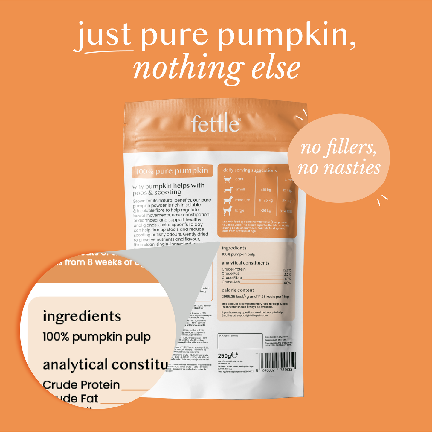Fettle Pure and Natural Pumpkin Powder 250g