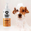 Buddycare Dog Shampoo Flea & Tick Shampoo
