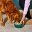Nutriment Freeze Dried Food Chicken 225g